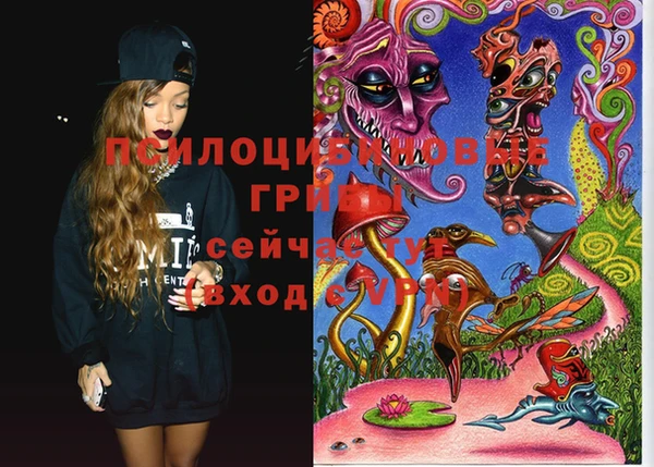 mdma Белокуриха