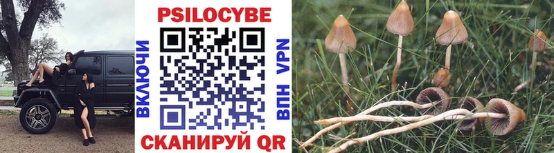 Псилоцибиновые грибы мухоморы  Озёрск 